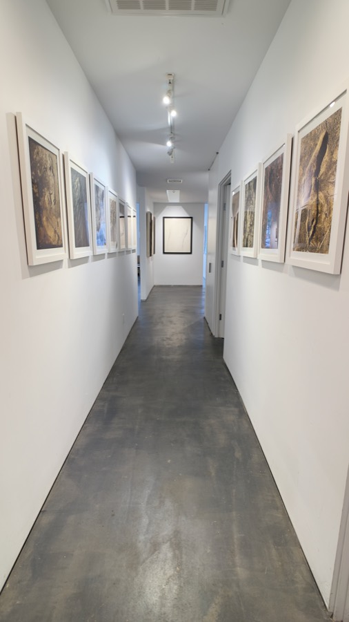 Corridor gallery hung with framed prints